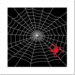 Spider Web Posters and Art